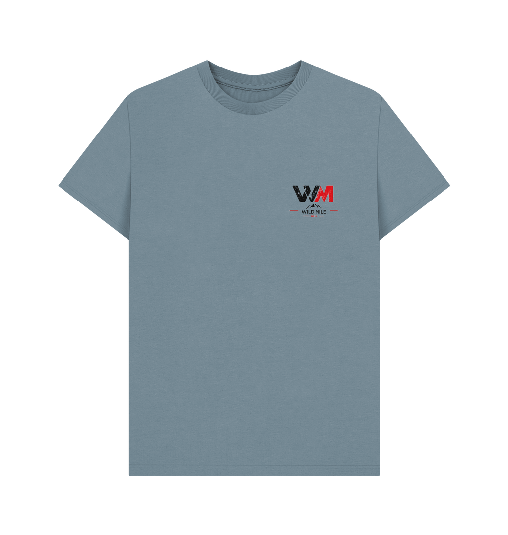 Stone Blue Printed T-shirt Front