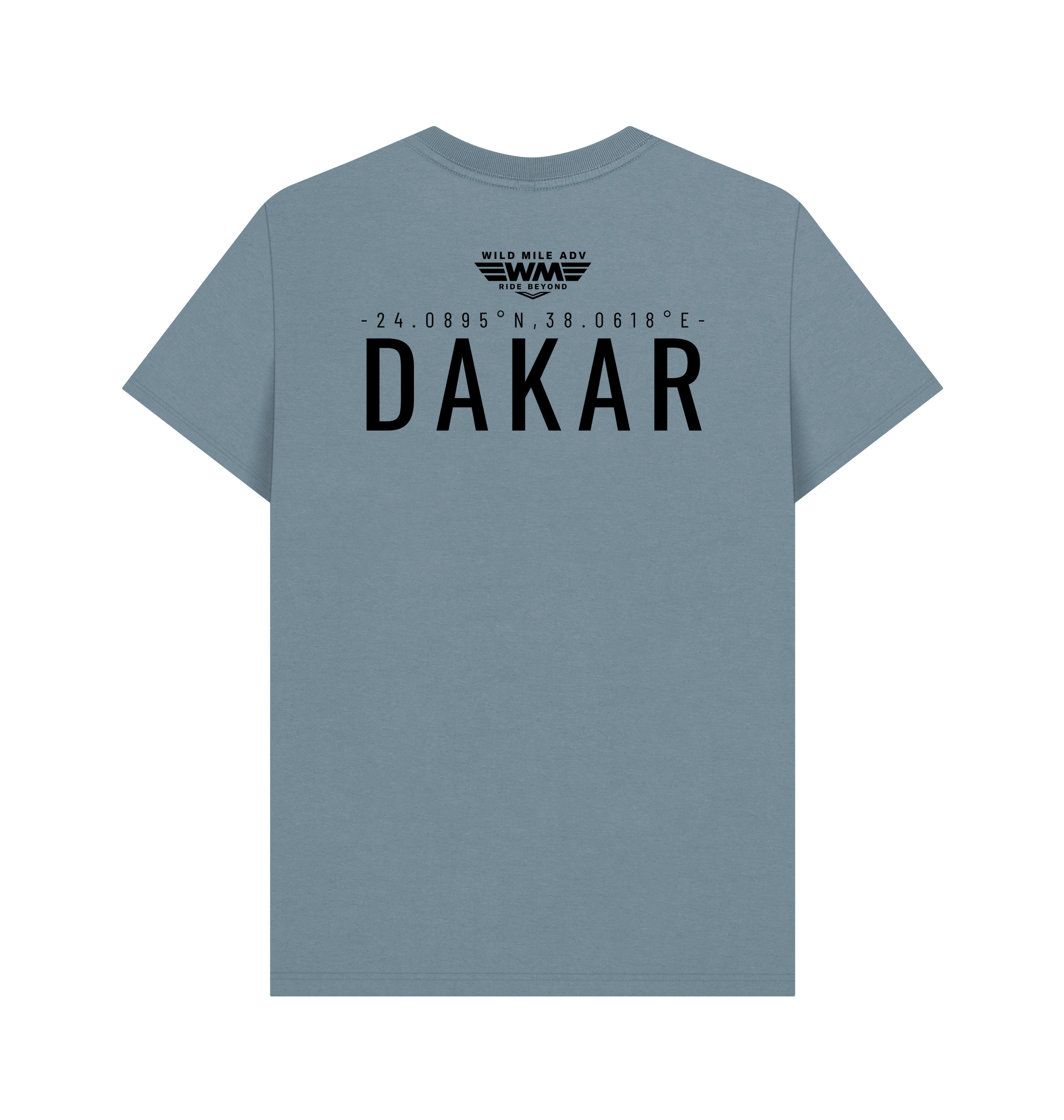 Stone Blue Printed T-shirt Back