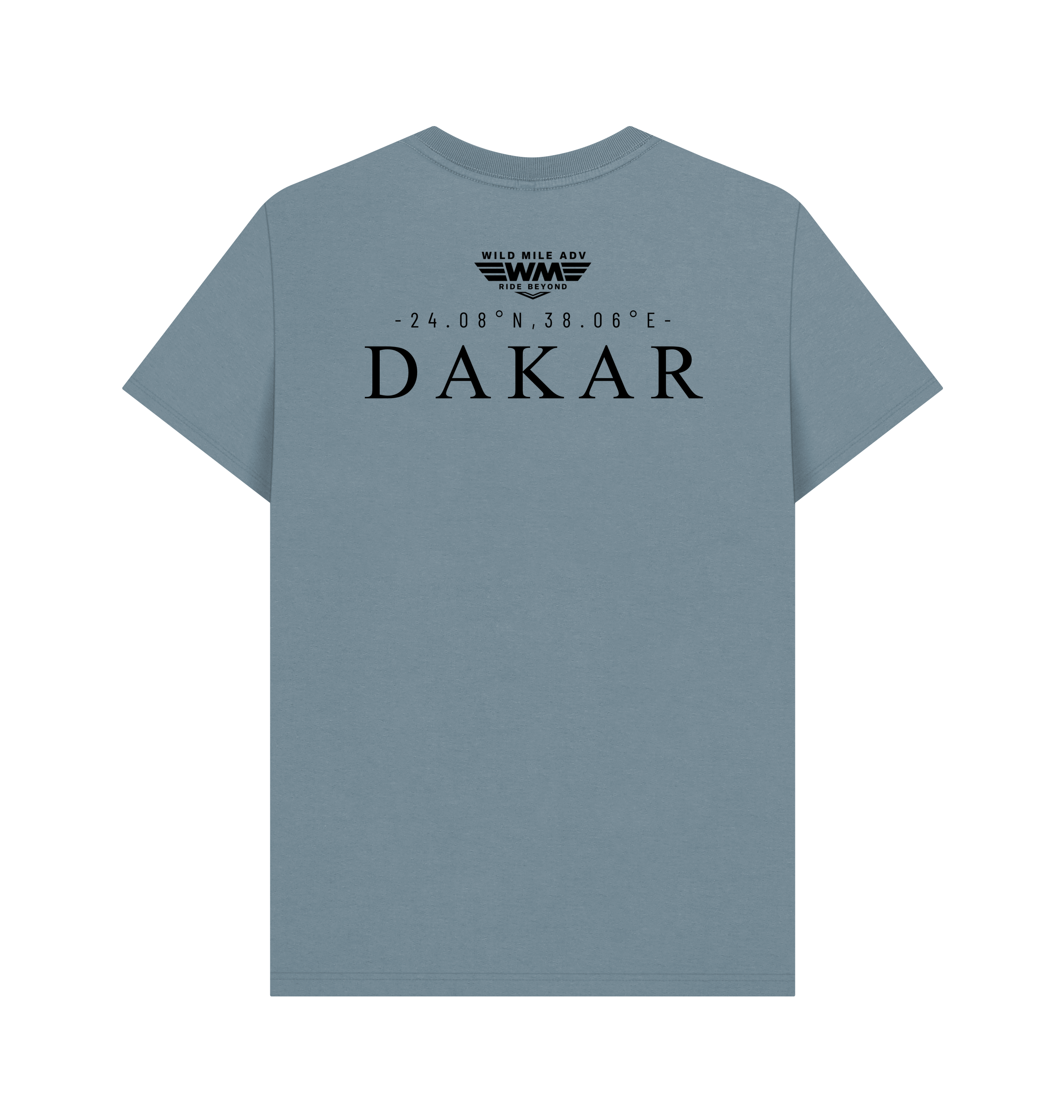 Stone Blue Printed T-shirt Back