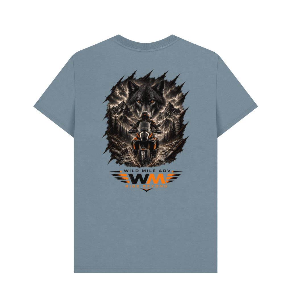 Stone Blue Printed T-shirt Back