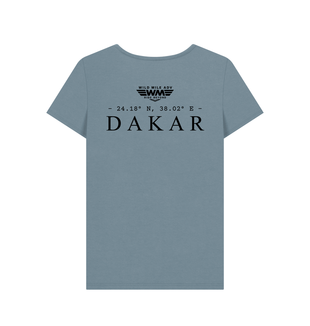Stone Blue Printed T-shirt Back