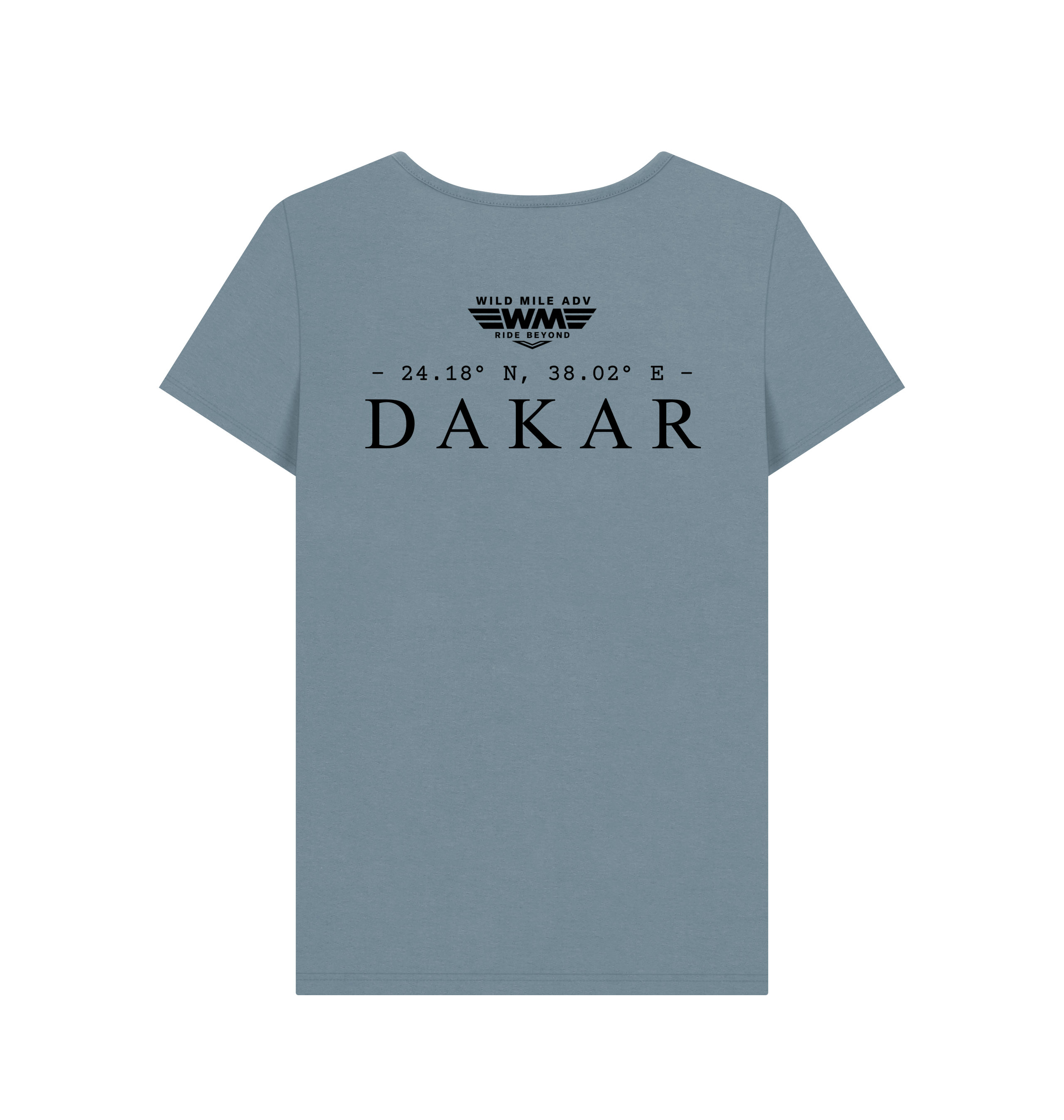 Stone Blue Printed T-shirt Back