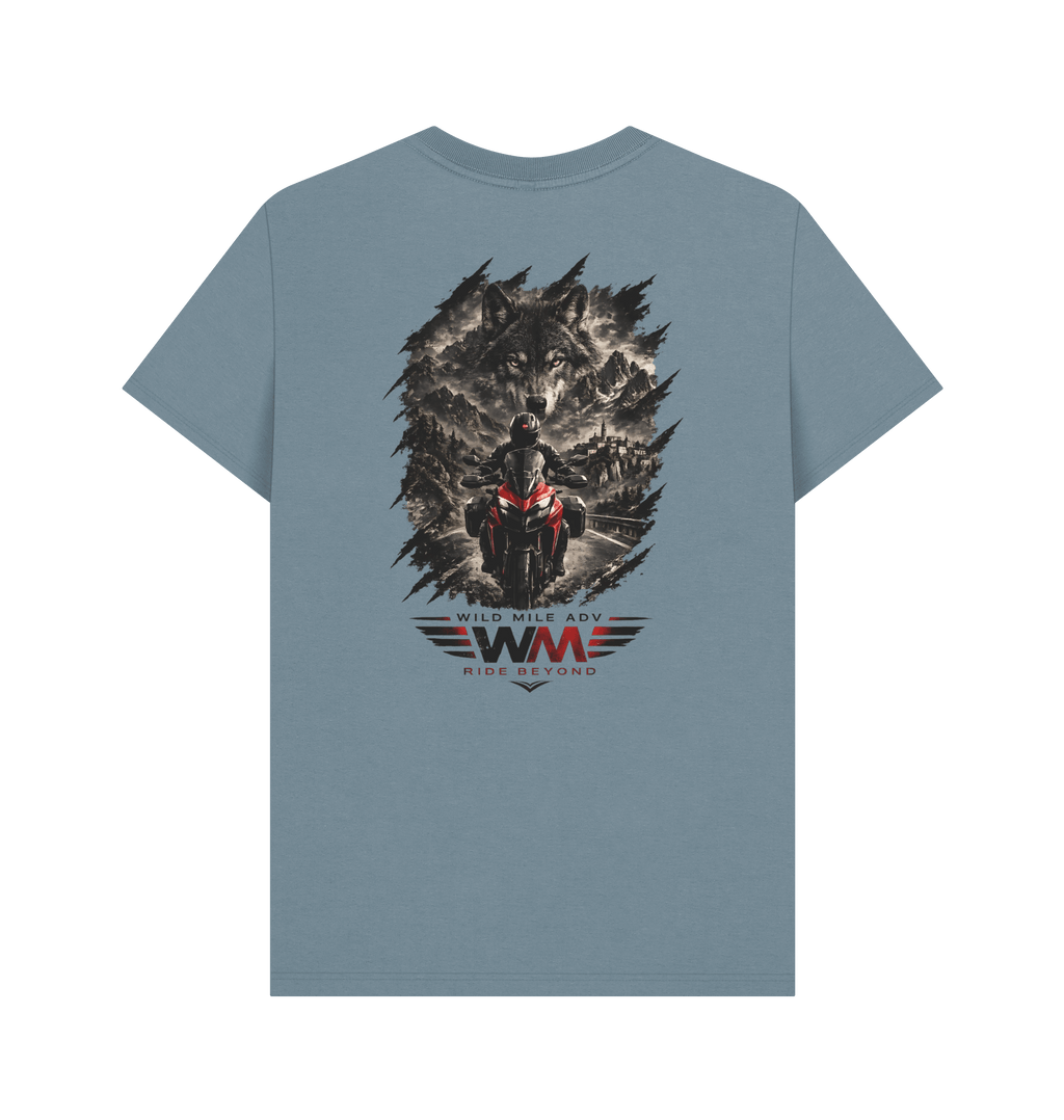 Stone Blue Printed T-shirt Back